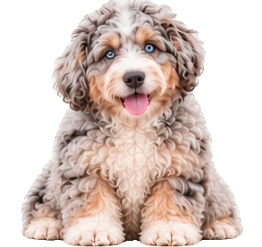 Multi-Gen Doodle example